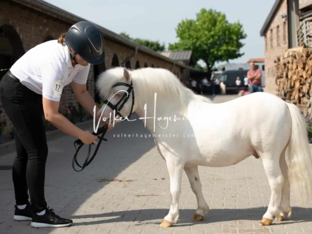 ZfdP Sommerkörung 28