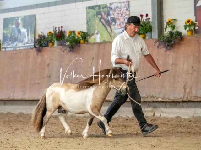 ZfdP Sommerkörung 30
