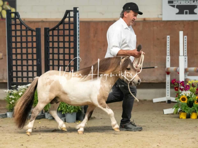 ZfdP Sommerkörung 1