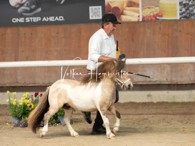 ZfdP Sommerkörung 2