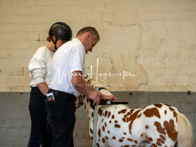 ZfdP Sommerkörung 24