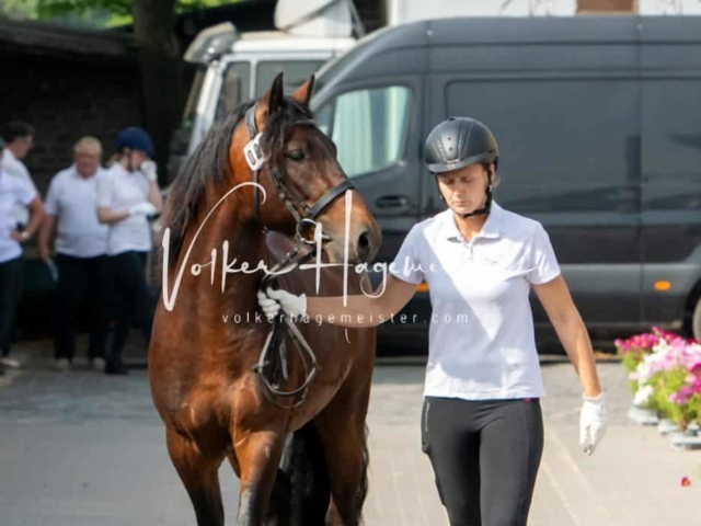 ZfdP Sommerkörung 3