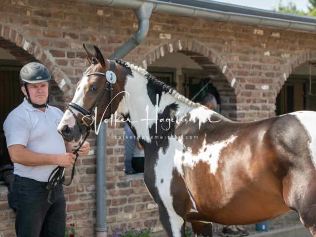 ZfdP Sommerkörung 14