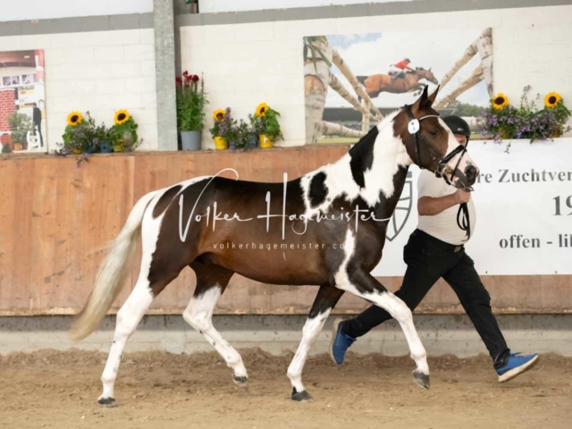 ZfdP Sommerkörung 21