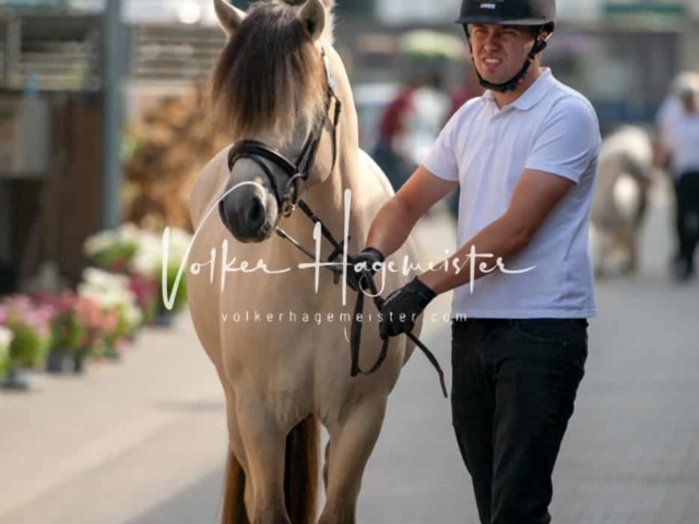 ZfdP Sommerkörung 27