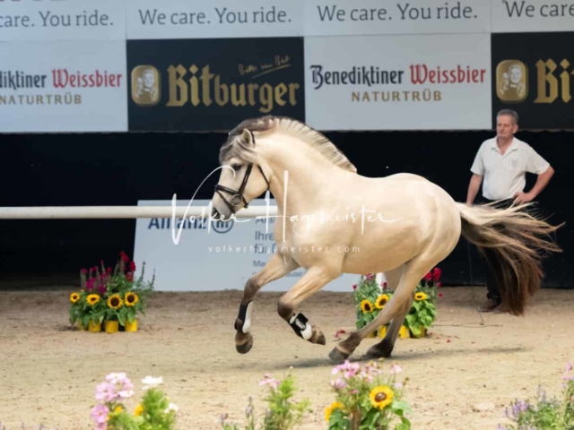 ZfdP Sommerkörung 1