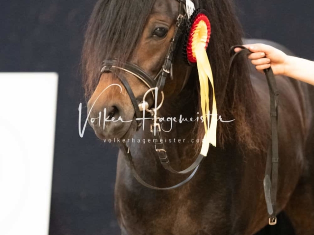 ZfdP Sommerkörung 12