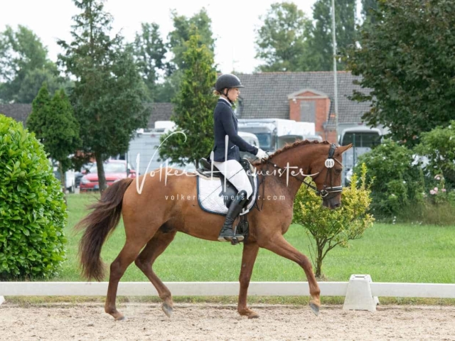 ZfdP Bundesturnier 3