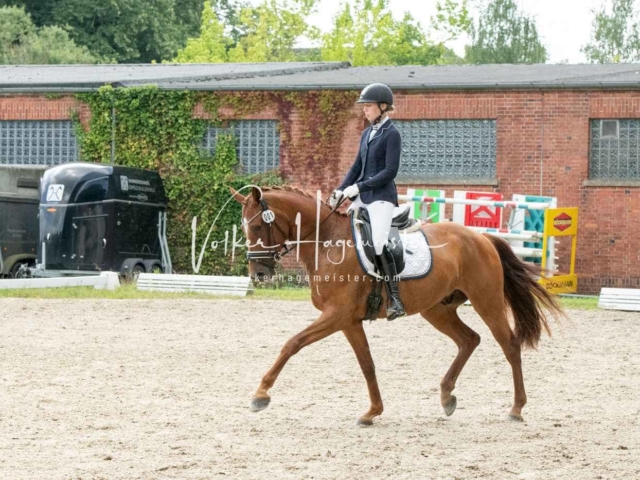 ZfdP Bundesturnier 4