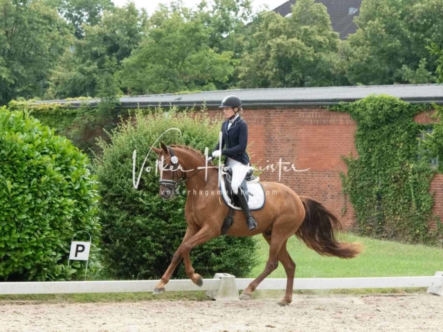 ZfdP Bundesturnier 5