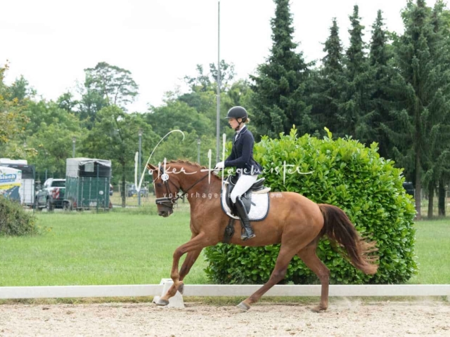 ZfdP Bundesturnier 6