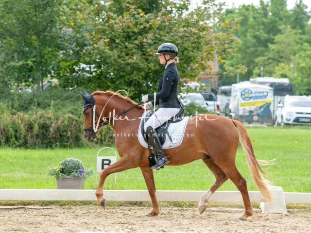 ZfdP Bundesturnier 7