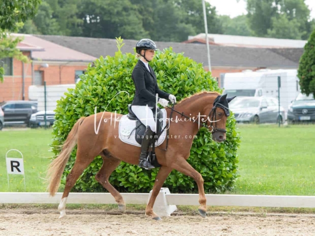 ZfdP Bundesturnier 11