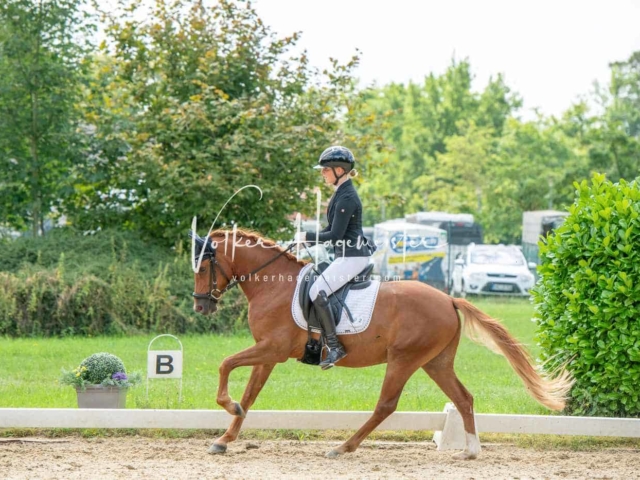 ZfdP Bundesturnier 13
