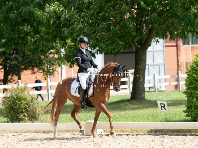 ZfdP Bundesturnier 14