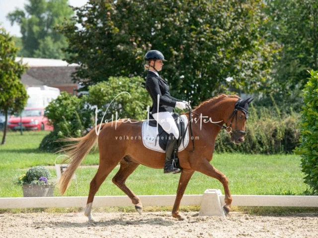 ZfdP Bundesturnier 15