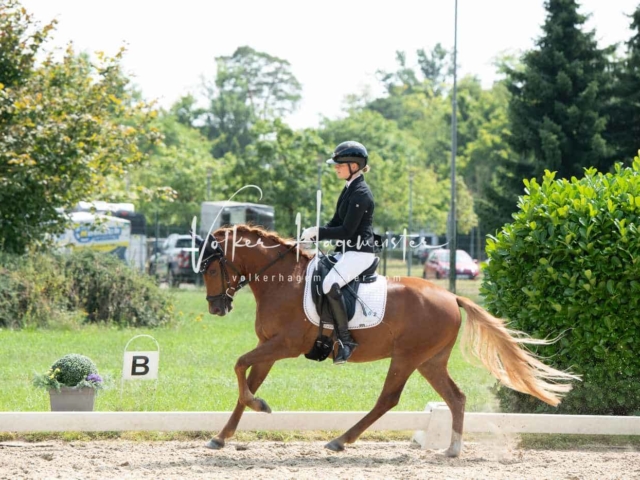 ZfdP Bundesturnier 16