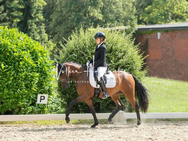 ZfdP Bundesturnier 17