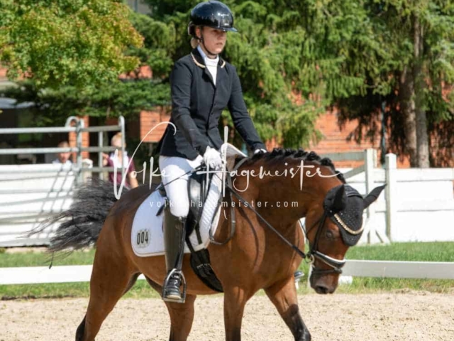 ZfdP Bundesturnier 18