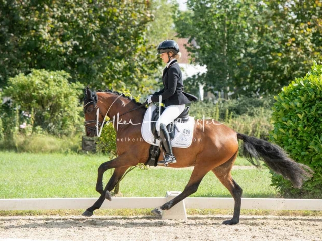 ZfdP Bundesturnier 20