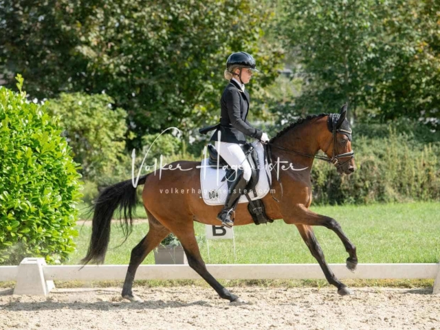 ZfdP Bundesturnier 21