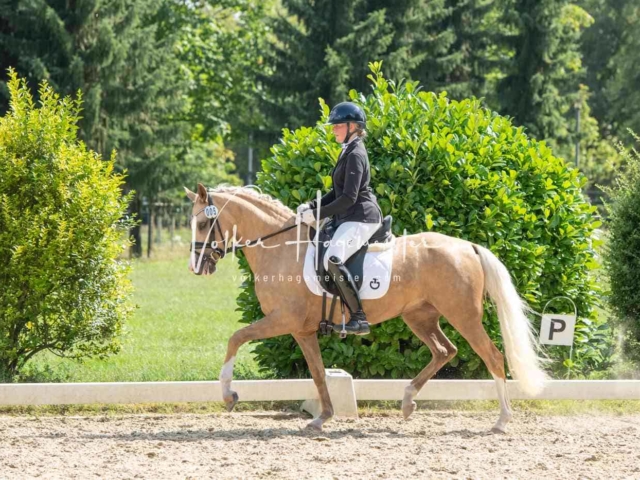 ZfdP Bundesturnier 22