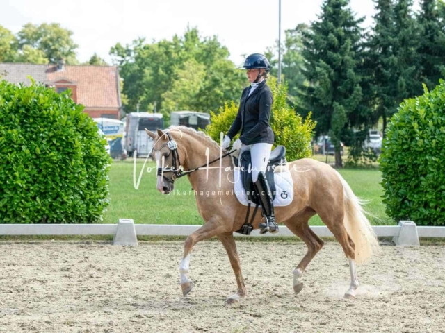 ZfdP Bundesturnier 23