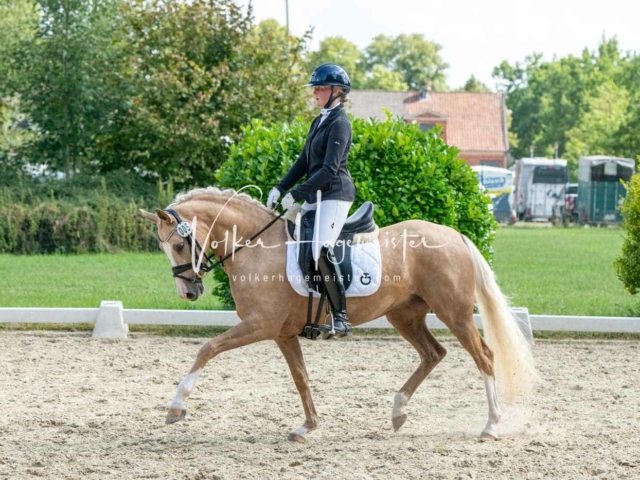 ZfdP Bundesturnier 24