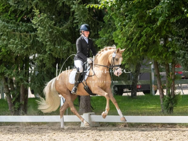 ZfdP Bundesturnier 25