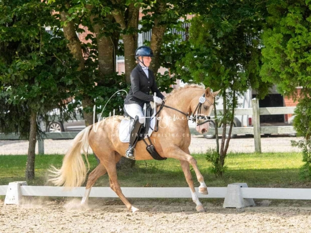 ZfdP Bundesturnier 26