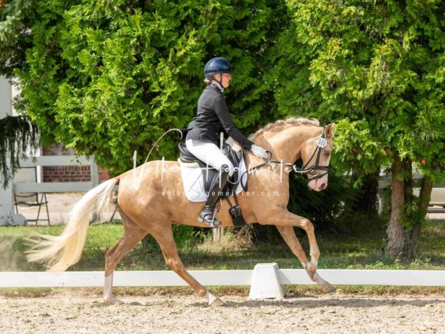 ZfdP Bundesturnier 27