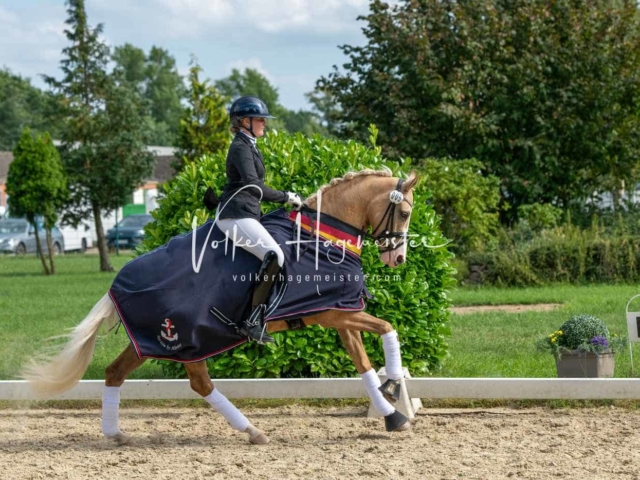 ZfdP Bundesturnier 29