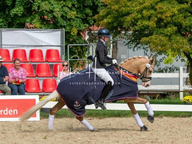 ZfdP Bundesturnier 30