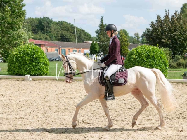ZfdP Bundesturnier 3