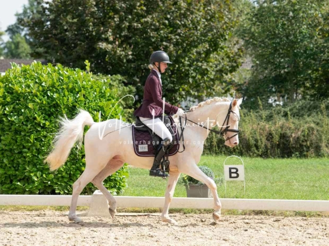 ZfdP Bundesturnier 4