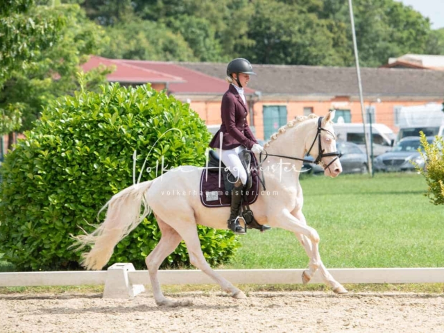ZfdP Bundesturnier 5