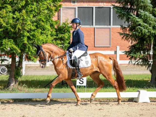 ZfdP Bundesturnier 10