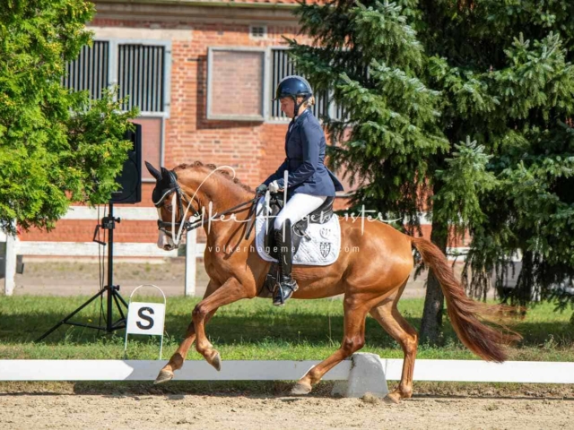 ZfdP Bundesturnier 11