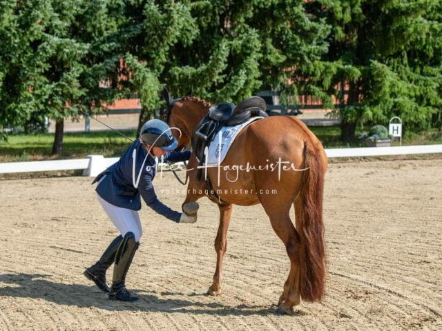 ZfdP Bundesturnier 13