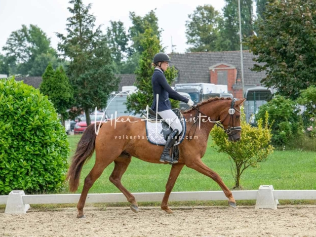 ZfdP Bundesturnier 15