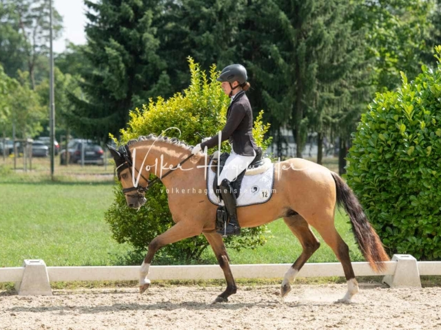 ZfdP Bundesturnier 16