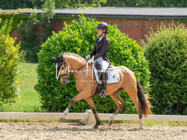 ZfdP Bundesturnier 17