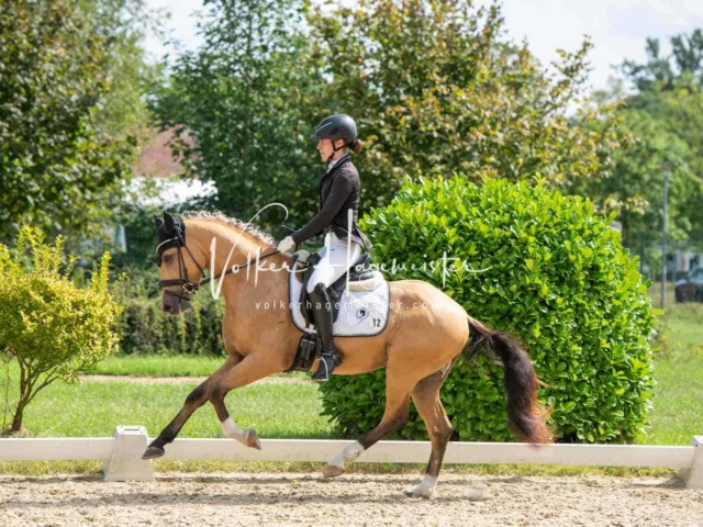 ZfdP Bundesturnier 18