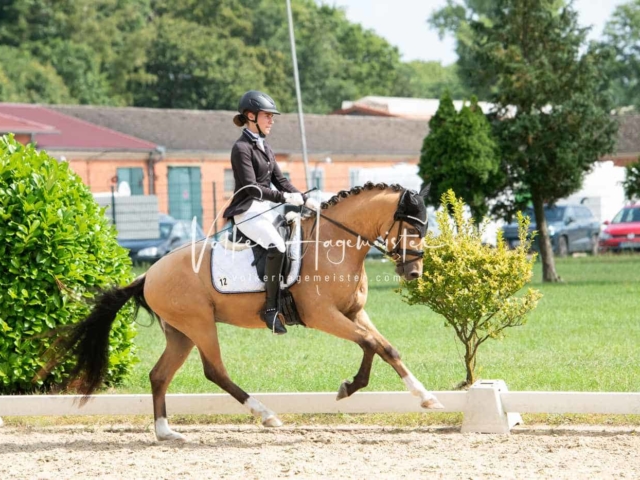 ZfdP Bundesturnier 19