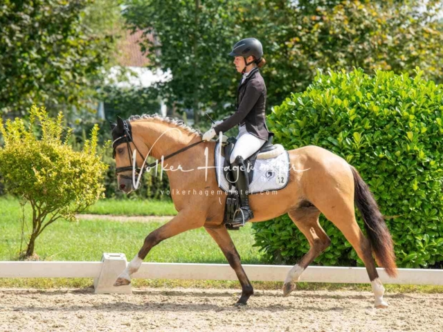 ZfdP Bundesturnier 20