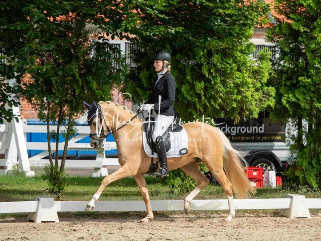 ZfdP Bundesturnier 21