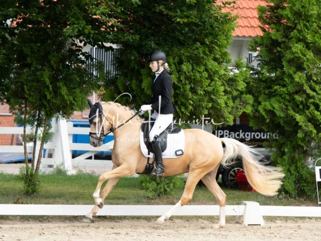 ZfdP Bundesturnier 22