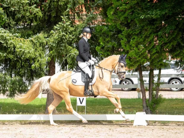 ZfdP Bundesturnier 23