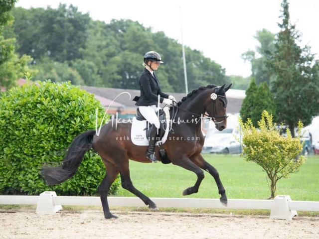 ZfdP Bundesturnier 24