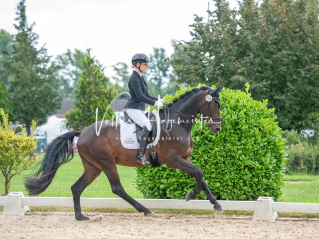 ZfdP Bundesturnier 25